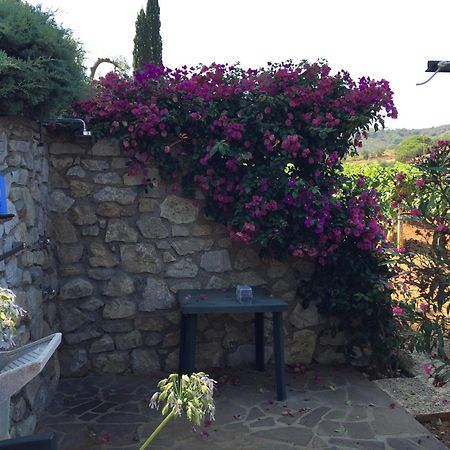 Studio-Appartment In Landhaus Mit Meerblick Porto Azzurro Zewnętrze zdjęcie