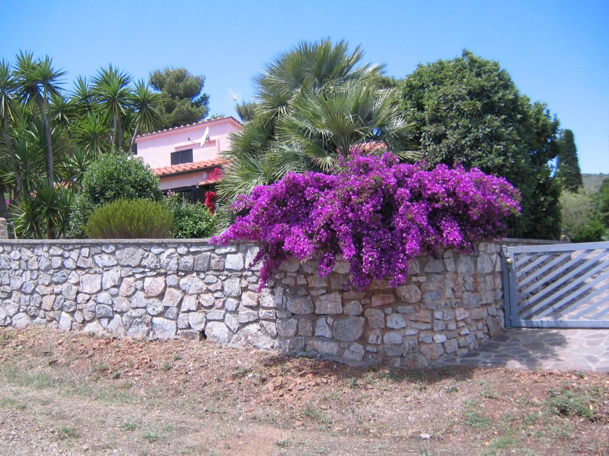 Studio-Appartment In Landhaus Mit Meerblick Porto Azzurro Zewnętrze zdjęcie