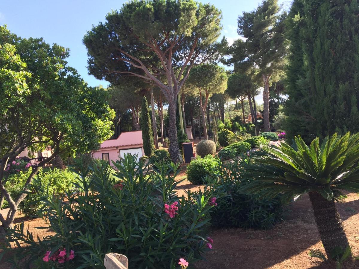 Studio-Appartment In Landhaus Mit Meerblick Porto Azzurro Zewnętrze zdjęcie